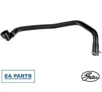 Radiator Hose for LAND ROVER FREELANDER 2 GATES 05-3633