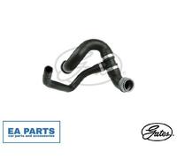 GATES 05-2601 Radiator hose