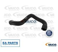 Radiator Hose for MERCEDES-BENZ C219 W211 S211 VAICO V30-1662 fits Lower