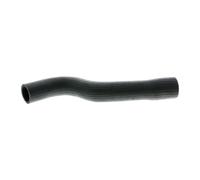 VAICO V30-1622 Radiator hose
