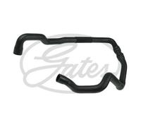 Radiator Hose for MINI:MINI CLUBVAN,MINI CLUBMAN,MINI Coupe,CLUBMAN,MINI,