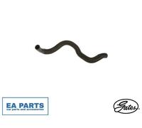 Radiator Hose for NISSAN KICKS II SUV GATES 05-5558
