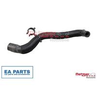 Radiator Hose for OPEL MOVANO B METZGER 2421455 fits Front