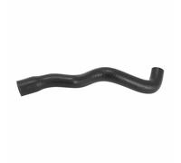 Radiator hose for Peugeot 103 sp, spx, rcx (cylinder head)