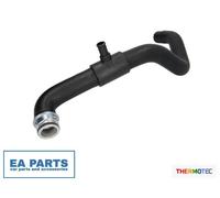 Radiator Hose for PEUGEOT 406 THERMOTEC DWP159TT fits Lower