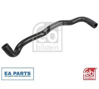 Radiator Hose for RENAULT CLIO MODUS FEBI BILSTEIN 171199 fits Lower