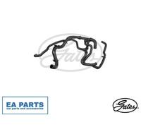 Radiator Hose for RENAULT GRAND SCÉNIC SCÉNIC GATES 05-4093