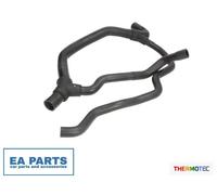 Radiator Hose for RENAULT KANGOO THERMOTEC DWR169TT fits Lower
