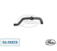 GATES 05-2895 Radiator hose