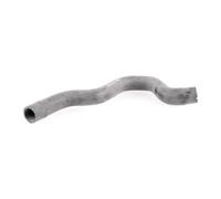 VAICO V40-1994 Radiator hose
