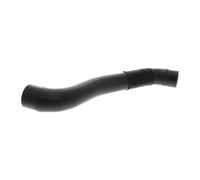 VAICO V40-1305 Radiator hose