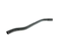 VAICO V40-1354 Radiator hose