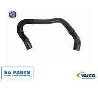 Radiator Hose for VW BORA GOLF TOURAN VAICO V10-8879 fits Right