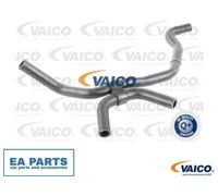 Radiator Hose for VW CARAVELLE T5 Bus VAICO V10-4684