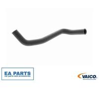 Radiator Hose for VW GOLF PASSAT POLO SCIROCCO VAICO V10-6936