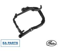 Radiator Hose for VW GOLF TOURAN PASSAT GATES 05-5598
