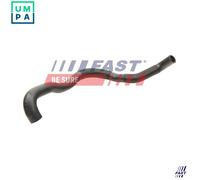 FAST FT61034 Radiator hose