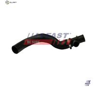 FAST FT61095 Radiator hose