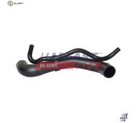 FAST FT61542 Radiator hose