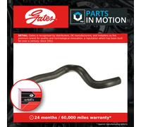 Radiator Hose Lower 05-1640 Gates Coolant 1337471 90531666 427551640 Quality New