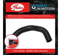 Gates Radiator Hose Lower 05-3357 Coolant 1245014382 A1245014382 427553357 New