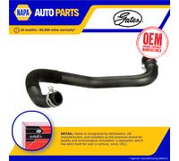 Radiator Hose Lower 05-3550 Gates Coolant 1497820080 1351QE 427553550 Quality