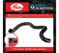 Radiator Hose Lower 05-3980 Gates Coolant 1363622080 427553980 Quality New