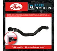 Radiator Hose Lower 05-4946 Gates Coolant 1704156 AV418260AC Quality Guaranteed