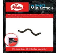 Radiator Hose Lower 05-5558 Gates Coolant 21503HV70A 427555558 Quality New
