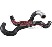 METZGER 2421646 Radiator hose