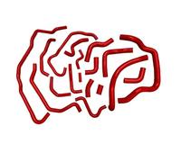 Radiator Hose Pipe Compatible with Land for Rover for Defender 2.4 Puma TDCi 2007 2008 2009 2010 2011 2012 2013 2014 2015 2016 Coolant Radiator Hose Heater Tube(Red)