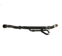 Cooling system hose Lower Rubber DWP042TT THERMOTEC for PEUGEOT 406