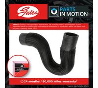 Gates 3776 Radiator Hose