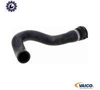 VAICO V10-000113 Radiator hose
