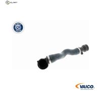 VAICO V20-0863 Radiator hose