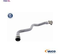 VAICO V20-1406 Radiator hose