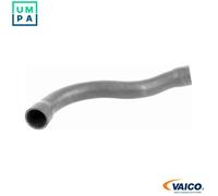 VAICO V20-1750 Radiator hose