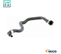 VAICO V20-2405 Radiator hose