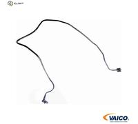 VAICO V42-1166 Radiator hose