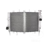 Radiator JMP Fits Kawasaki ZX-6RR 600 2003-2006