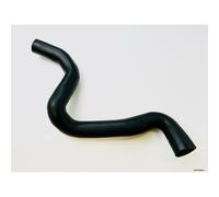 Radiator Upper Hose For FORD C-MAX / FOCUS C-MAX 1.6L 2003-2010 CPP/FR/001A