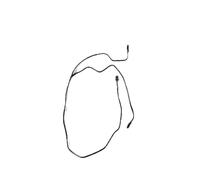 Radiator Water Tank Hose Pipe Compatible with Escape 2013-2016 Car Radiator Overflow Water Tank Hose CV6Z8B081Z