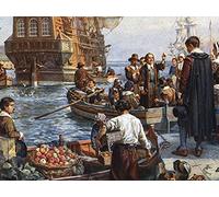 Radicals in the Wilderness