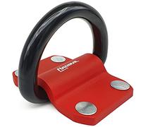 RADIKAL RK60 Premium Security Anchor XXL with ø20mm/0,78in Swinging Ring for 2 Chains, Maximum Strength Steel and Shielded Bolts, Universal Anti Theft Security for Anchoring Motorcycle Ground Floor