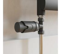 Radilux Straight Thermostatic Trv Radiator Valve Lockshield Anthracite Pack 15mm