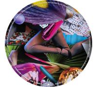 Radio Slave - Wild Life (Remixes) [VINYL]