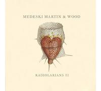 Medeski Martin & Wood - Radiolarians 2 (Dig)