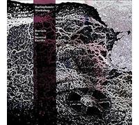 The Radiophonic Workshop - Burials In Several Earths [10" VINYL]