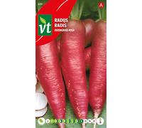 Radish Ostergruss Rosa Seeds per Gram - Long Root (up to 30 cm) with a Beautiful Dark Pink Colour - 6 g - Seeds per Gram: 120