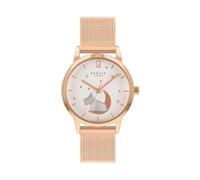 RADLEY Women's Analog Quartz Watch with Stainless Steel Strap RY4536A